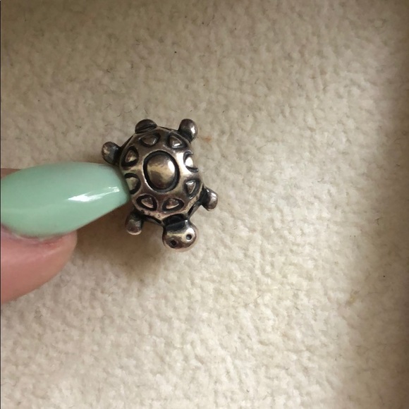 Pandora Jewelry - Pandora charm Pandora Jewelry - Pandora charm